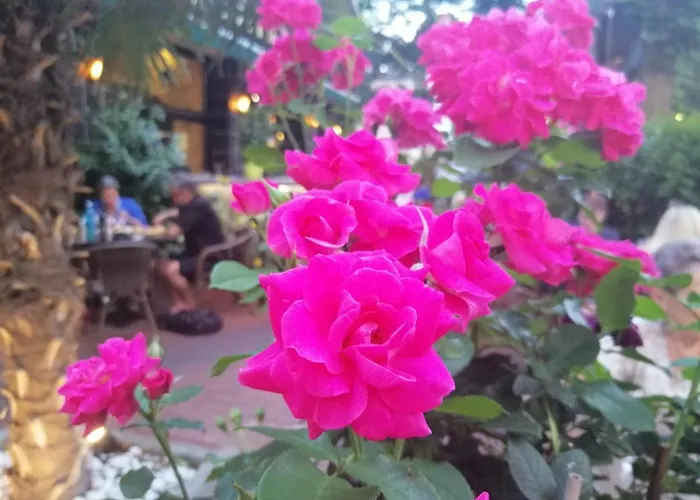 Der Kretaner Vendégház 3*