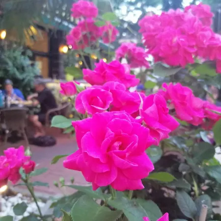 Der Kretaner Penzion 3*